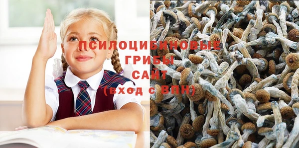 стафф Гусь-Хрустальный